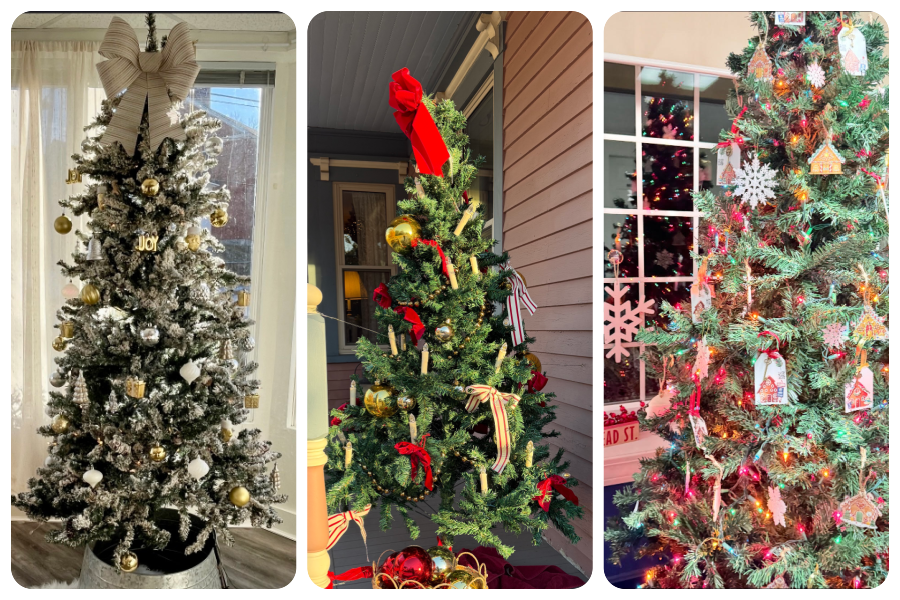 12 Days of Trees business giving trees.