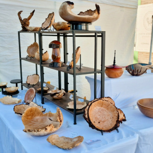 Art Of Turning Woodturning Booth at Craft Fair Showcasing Burl Bowls