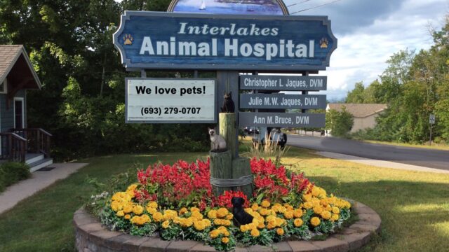 Interlakes+Animal+Hospital