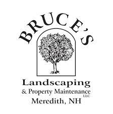 bruces