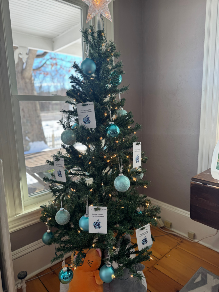 Meredith Area Chamber of Commerce 12 Days of Trees Christmas Tree.