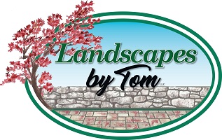 landscapes_tom