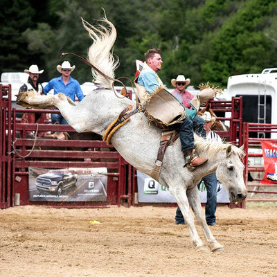 Sandwich Stampede at Sandwich Fair Grounds, New Hampshire.