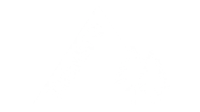 tomson logo